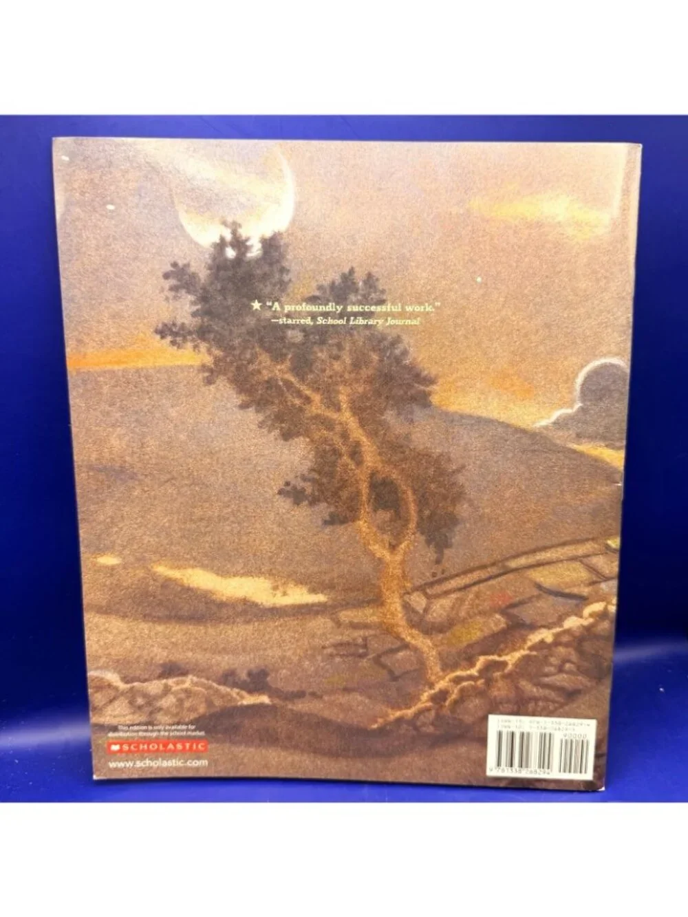 A Spy Called James Anne Rockwell PB Scholastic American Revolutionary WarHistory